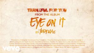 Read more about the article TobyMac – Thankful for You (Lyrics)